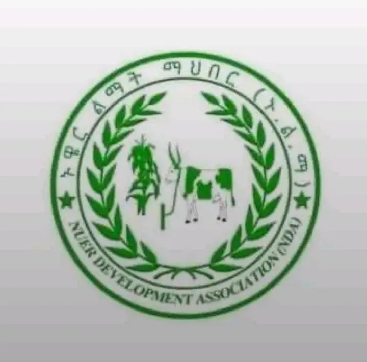 photo 2025 07 24 15 00 36